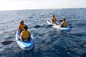 Guidad Kajak Tour och Paella Lunch på stranden i Valencia