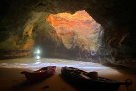 Passeios de caiaque com cavernas incríveis, vida marinha e biólogo marinho.