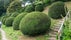 National Trust - The Weir Garden, Kenchester, Herefordshire, West Midlands, England, United Kingdom