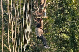 Treetop adventure course in the heart of Rouen