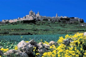 Mdina, Dingli cliffs and San Anton Gardens guided tour