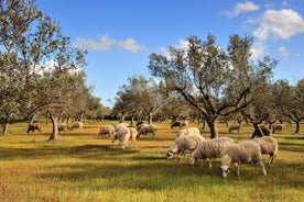 Euboea - region in Greece