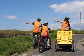 Selbstgeführte Radtour auf dem Limerick Greenway