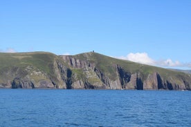 Dingle Bay Cliff Tour