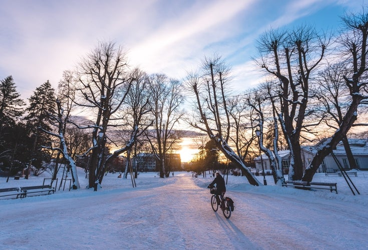 oslo-in-december-guide-europe-14.jpg