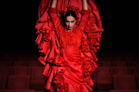 Granada: Flamenco Show "Sensaciones" at the Flamenco Theater Granada