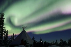 Husky Sled Ride Northern Lights Tour frá Kiruna