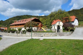 Guesthouse Mocivnik