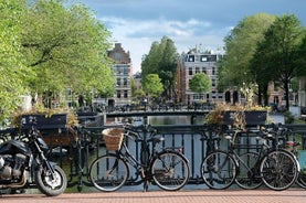 Private Transfer From Eindhoven To Amsterdam, Stop In Utrecht