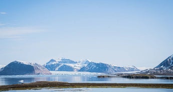 Between Glaciers and Bird Cliffs