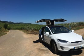 Tour de Alsacia: cata de vinos, pueblos y visitas al castillo con un amable conductor de Tesla