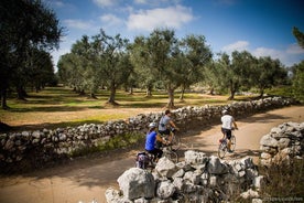 Excursion en vélo à travers Salento : excursion de 4 heures en vélo à Capo di Leuca