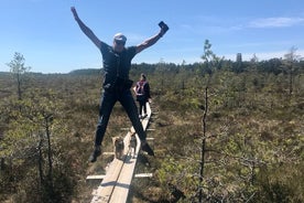 Dagstur till Land of Bays, den romantiska nordkusten från Tallinn