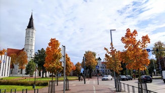 Šiaulių rajono savivaldybė - region in Lithuania