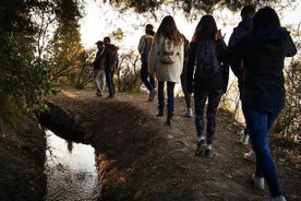 Caminhos de água. Aventura privada e tour histórico