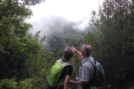 Merveilleuse randonnée à travers la forêt magique de Tenerife