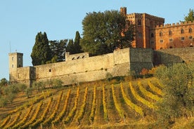 Chianti og kastala lítill hópferð frá San Gimignano