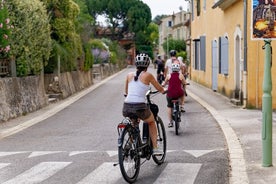 Heldags Ebike Tour i Luberon-regionen från Avignon