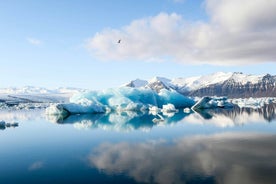 Delt gruppe Glacier Lagoon Tour fra Djupivogur