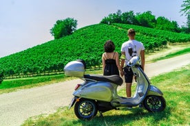 LANGHE: Vespa-tur i vinregionen Barolo