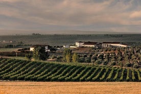 Alentejo Wine Tour från Algarve