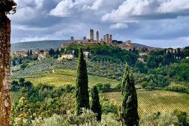 Hestaferð, heimsókn til S.Gimignano, Toskana hádegisverður, vínsmökkun, Chianti víngerð