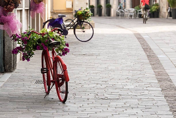 A bike decorated with flowers parked on a street in Milan.jpg