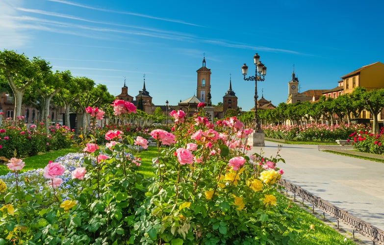 Photo of Plaza de Cervantes Square, Alcala de Henares, Spain.