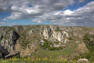 Tureni Gorge