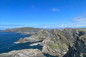 Privat rundtur: Ring of Kerry, Kerry Cliffs från Kenmare.