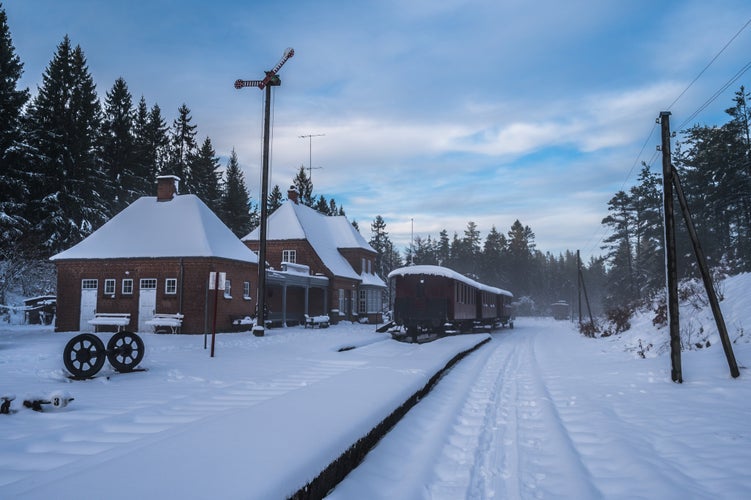 old Vrads Railway Station in rime frost, Denmark.jpg