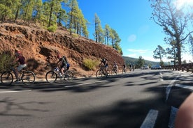 Rafmagnshjól Teide eldfjall Tapas einkaleiðsögn