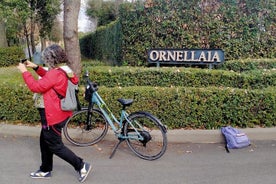 Tour privado en bicicleta eléctrica en Bolgheri con lección de cocina