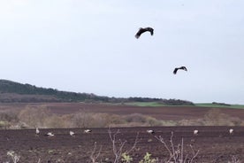 Birdwatching privato in uno dei 3 luoghi unici di Sofia