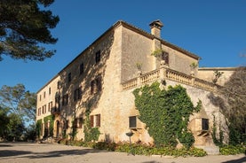 Excursión de día completo a rincones ocultos de Mallorca