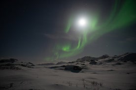 Lofoten Islands Northern Lights Tour - Private