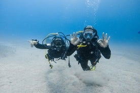 Découvrez le monde sous-marin de Lanzarote