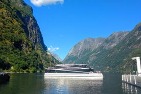 Tour privado de día completo a Flam con recogida