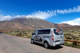 Hálfsdagsferð fyrir smáhópa um Teide þjóðgarðinn með flutningi