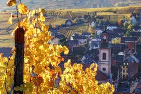 Alsace halv dag vin tur från Colmar