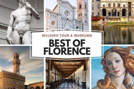 Kleine groep Uffizi & Accademia Museum met wandeltocht