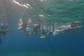 Paphos: Skjaldbaka Snorkling með Sjósleða