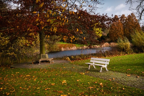 photo of view of A white wooden bench in an autumn park and a bench under a tree by the water in a colourful autumn park, colorful leaves on the grass on a sunny day. Westfalenpark, Dortmund, Germany.,Dortmund Germany.