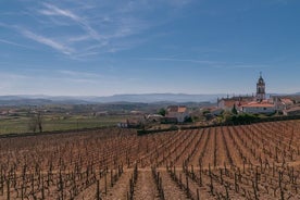 Privat rundtur till Douro-dalens portvinsregion