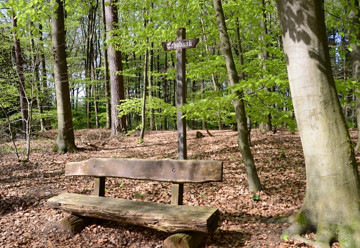 Echo Bench in Spring in the Town Walsrode, Lower Saxony