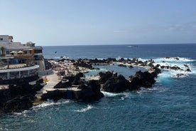 Tour di Madeira West da Funchal in un veicolo privato