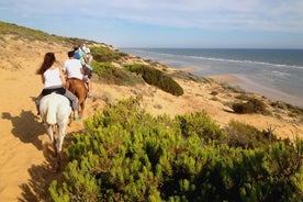 ทริปขี่ม้าหรือรถ 4x4 ที่อุทยานแห่งชาติ Doñana