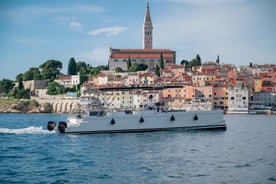 Rovinj: Sunset & dolphin group tours with Catamaran