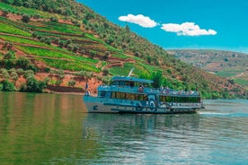 Vallée du Douro et de Régua Croisière panoramique avec déjeuner au départ de Porto