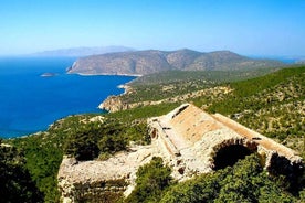 1 Day Rhodes Island Tour with Olive Oil, Honey and Wine Tasting 